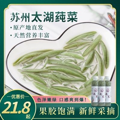 太湖莼菜新鲜300克纯菜