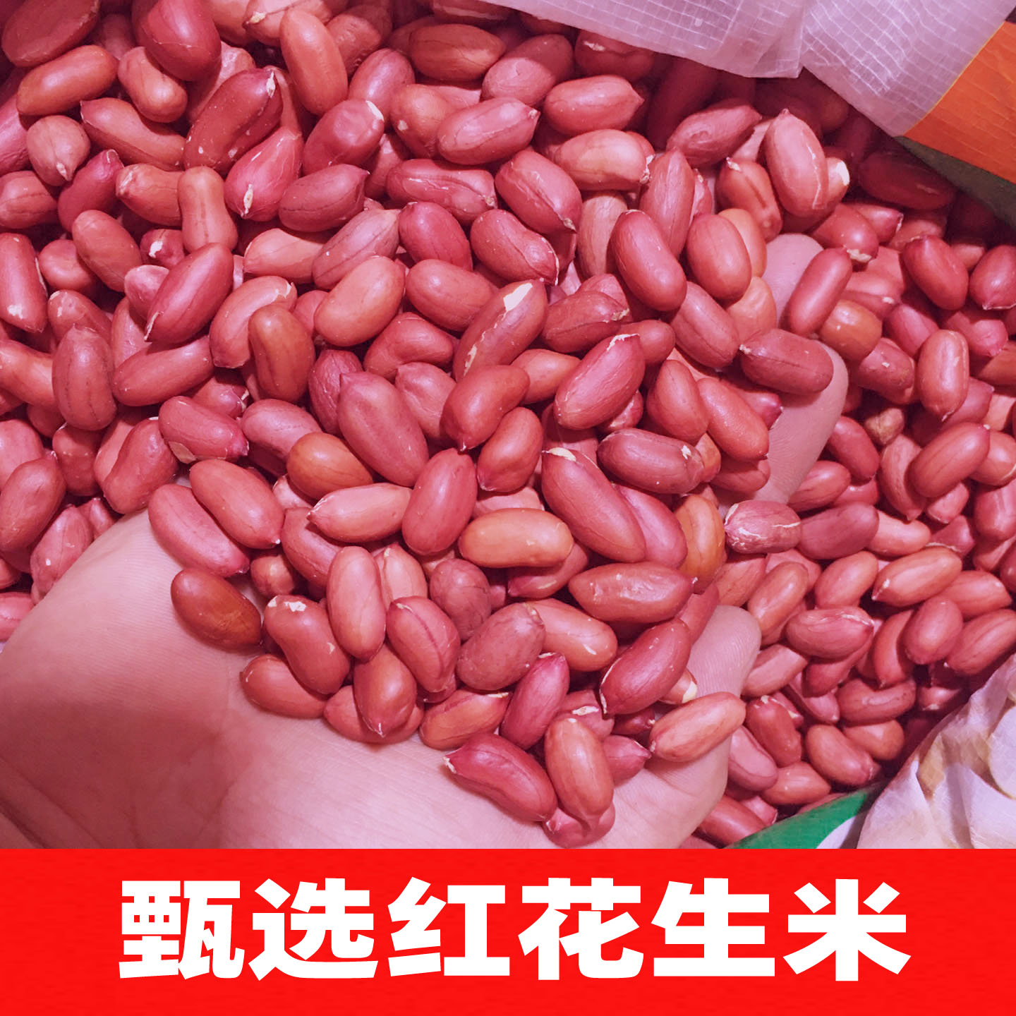 小粒红花生米质量保证四粒红花生花生