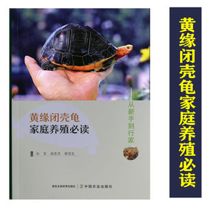 黄缘闭壳龟家庭养殖必读-从新手到行家黄缘龟安缘龟爱好者基础书