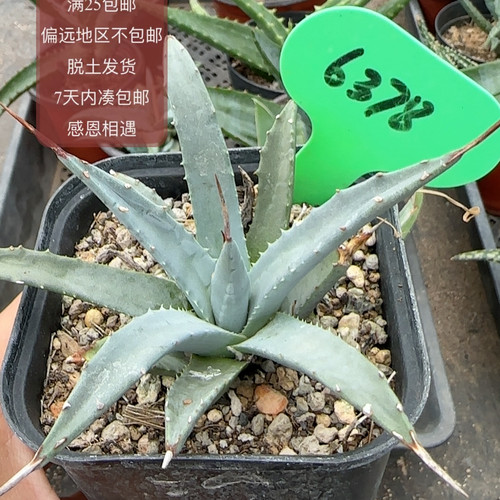 6378eb妖炎