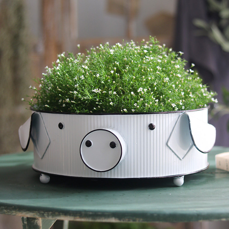 可爱猪猪铁艺花器多肉花盆样板间儿童房卡通装饰摆件创意礼物北欧