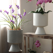 店软装 北欧风格 落地花盆蝴蝶兰宝莲灯花器杯形客厅商场奶茶店服装