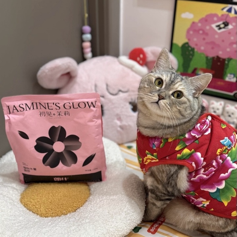 朗仕木薯猫砂初见茉莉植物砂 结团紧实可混砂