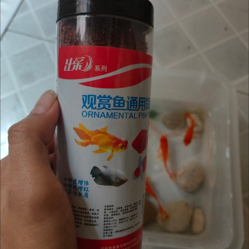 通用型鱼食小颗粒锦鲤招财饲料家养观赏金鱼虾红素鱼粮浑水