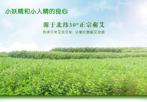良心艾灸-1号艾灸茶一号艾叶茶蕲艾草茶叶备孕妇婴儿童茶10克一份 - 封面