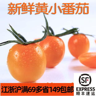 新鲜黄小番茄500g圣女果樱桃番茄cherry tomatoes 江浙沪满69包邮