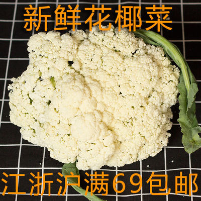 新鲜蔬菜 白花椰菜约1000g两斤 散花菜 家常食材 江浙沪满69包邮