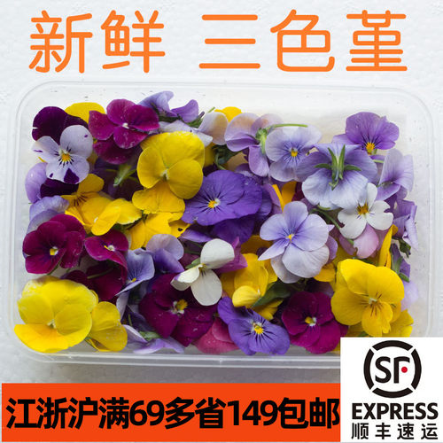 新鲜三色堇鸢尾花50朵左右 可食用花 餐饮装饰摆盘 多地六盒包邮