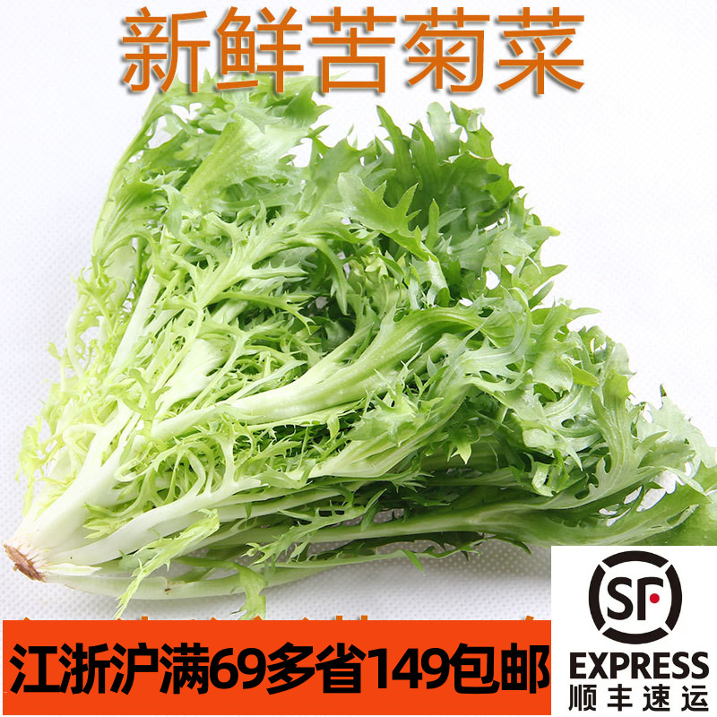 新鲜苦苣250g 苦叶菜Chicory lettuce 苦菊 西餐 蔬菜沙拉生菜