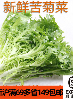 新鲜苦苣250g 苦叶菜Chicory lettuce 苦菊 西餐 蔬菜沙拉生菜