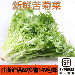 新鲜苦苣250g 苦叶菜Chicory lettuce 苦菊 西餐 蔬菜沙拉生菜