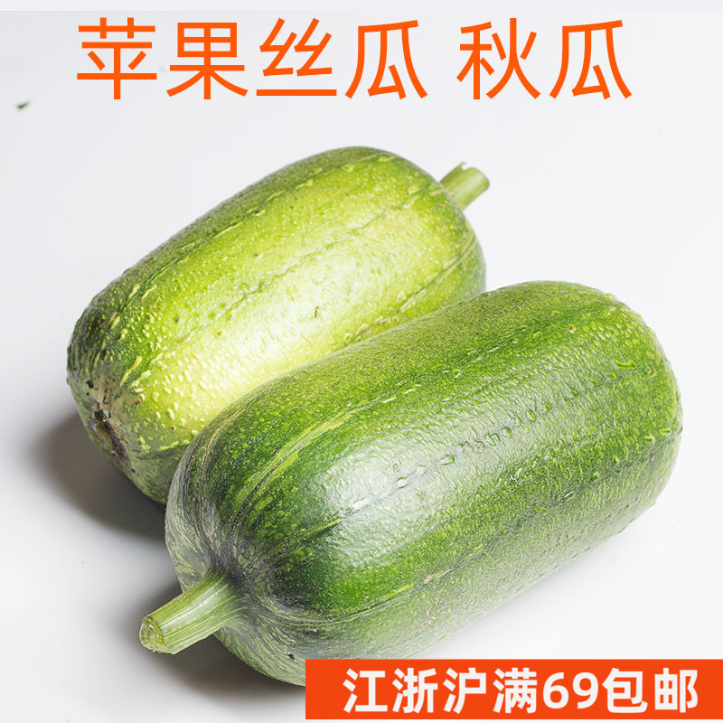 新鲜台湾丝瓜苹果丝瓜粤菜秋瓜小吊挂蔬菜特菜餐饮酒店创意菜 水产肉类/新鲜蔬果/熟食 丝瓜 原图主图