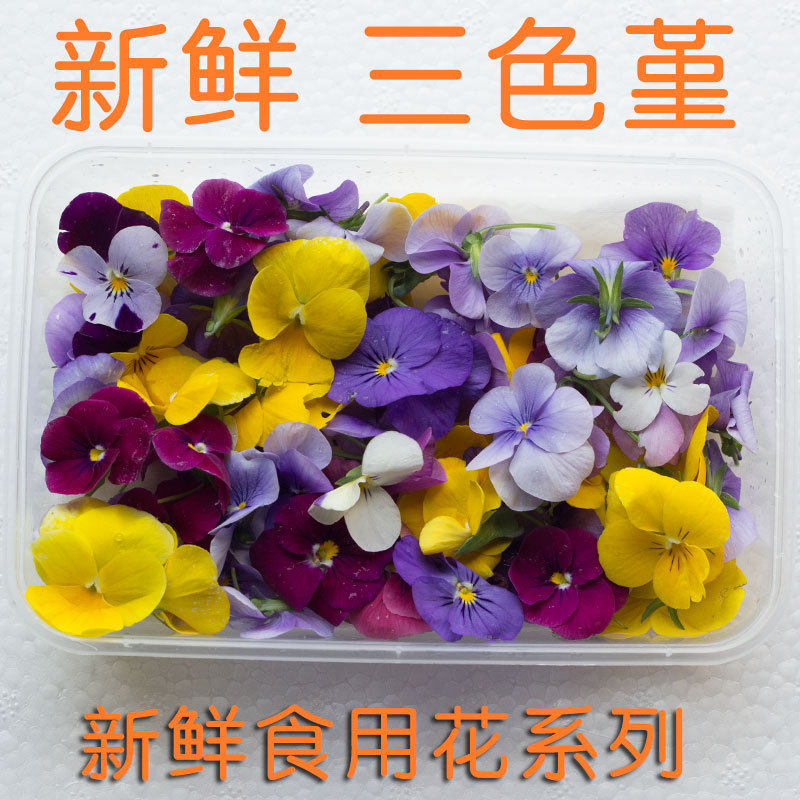 新鲜三色堇鸢尾花50朵左右 可食用花 餐饮装饰摆盘 多地六盒包邮