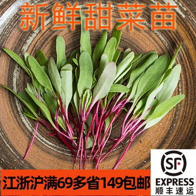 新鲜小牛皮叶甜菜苗约30克酒店西餐烘焙装饰点缀芽苗菜嫩草
