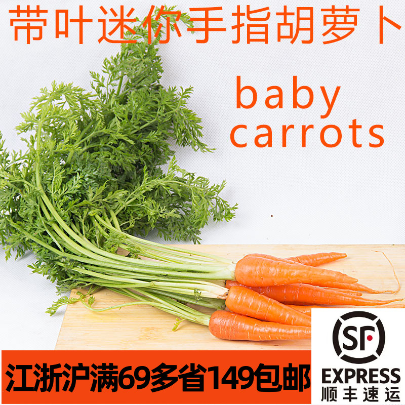 新鲜带叶迷你手指胡萝卜500g  沙拉生菜Baby carrot 煎牛排配菜