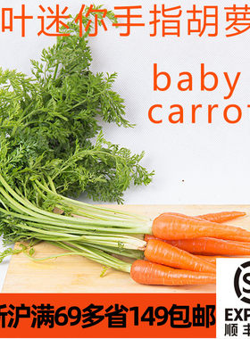 新鲜带叶迷你手指胡萝卜500g  沙拉生菜Baby carrot 煎牛排配菜