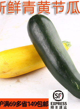 新鲜青黄节瓜500g角瓜生食脆嫩 zucchini 西葫芦西餐烤制煎蛋烘焙