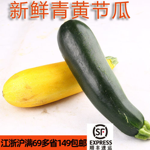 新鲜青黄节瓜500g角瓜生食脆嫩 zucchini 西葫芦西餐烤制煎蛋烘焙