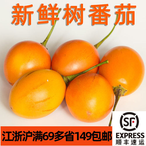原产南美树番茄果香酸香