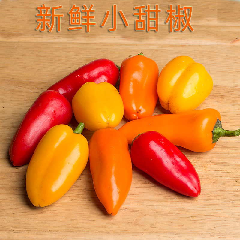 新鲜小甜椒迷你彩椒红黄绿多色墨西哥辣椒餐饮配色沙拉创意食材