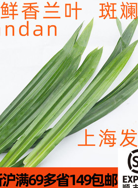 新鲜香兰叶斑斓叶Pandan东南亚风味蛋糕饮品榨汁染色香露兜香料