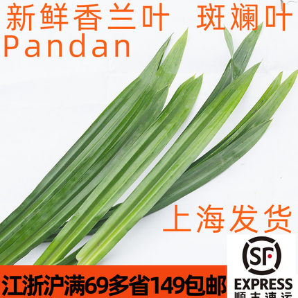 新鲜香兰叶斑斓叶Pandan东南亚风味蛋糕饮品榨汁染色香露兜香料