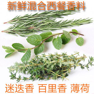 新鲜混合西餐香料煎牛排家庭组合200g套餐迷迭香百里香薄荷叶烤肉