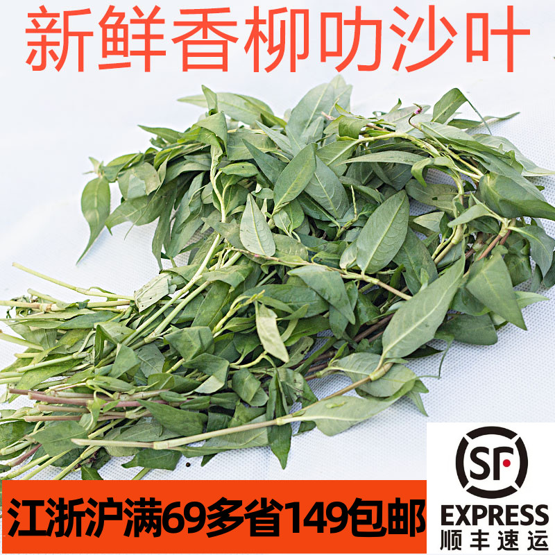 云南香柳鱼生香料东南亚叻沙调料