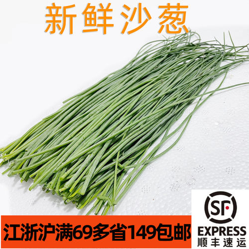 新鲜沙葱餐饮创新食材淡淡韭香