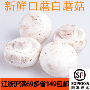 新鲜口蘑白蘑菇Mushroom白菇双孢菇家常西餐酱汁浓汤烧烤食材菌菇