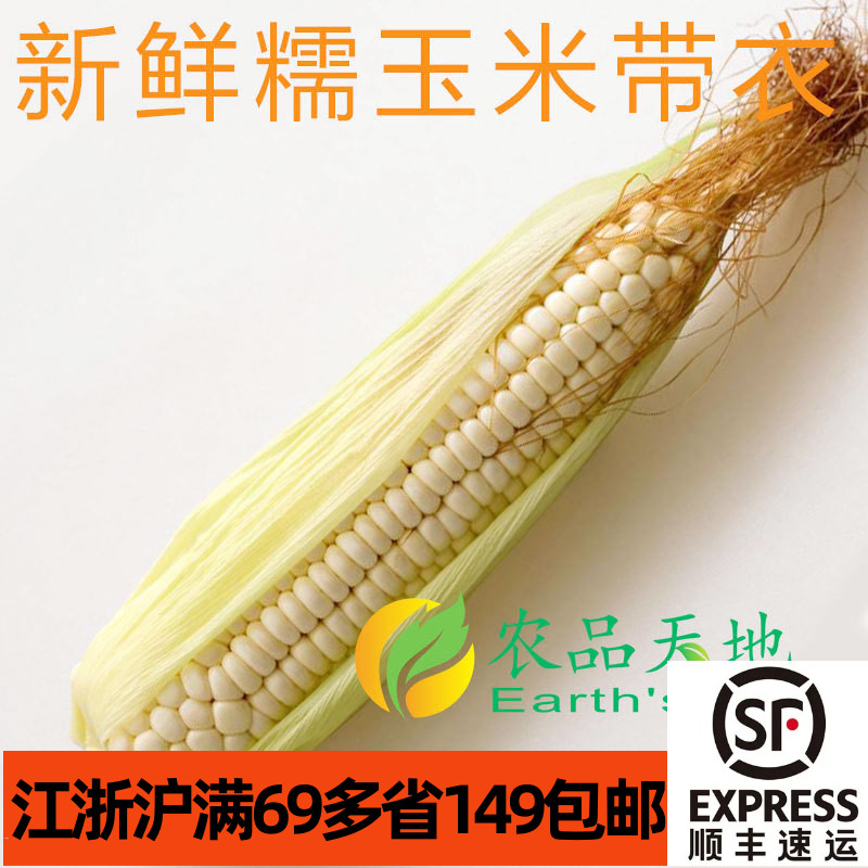 新鲜带皮糯玉米800g包邮图片