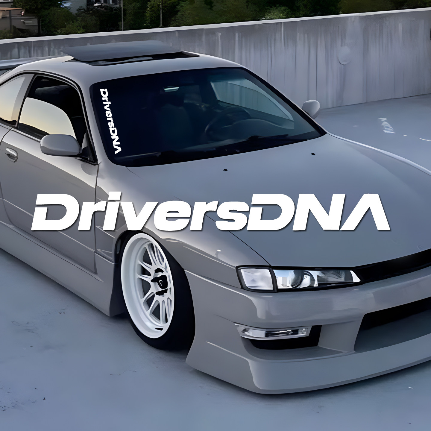 驾驶者DNA车门前挡风后窗玻璃反光电动摩托车油箱汽车贴纸