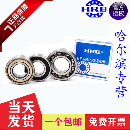 哈尔滨轴承6300 6301 6302 6303 6304 6305 6306 6307 2Z 2RZ
