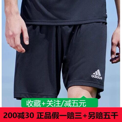阿迪达斯24新款速干足球舒适运动男女短裤H57504/H09357/H58593