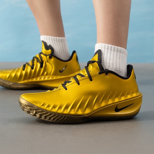 NIKE/耐克2026秋季新款时尚篮球鞋男实战训练健身运动IR7204-700
