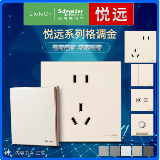 带USB二三插86型五孔施耐德开关