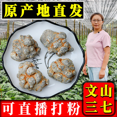 云南文山三七25头视频直播打粉