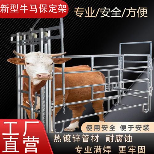 牛马驴保定架牛马驴防疫通道门