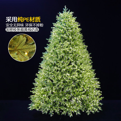 纯PE圣诞树2025新款大型装饰品