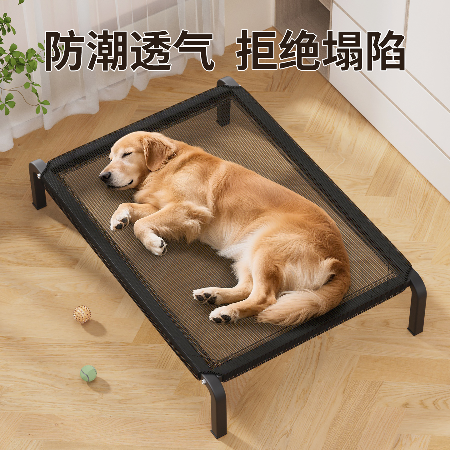 狗狗行军床四季通用宠物离地床防潮大型犬猫狗窝中小型犬睡觉垫子