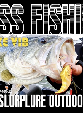 EVOKE VIB VIBRATION木村建太鲈钓路亚缠摆硬饵【巴拉咕嗒路亚】