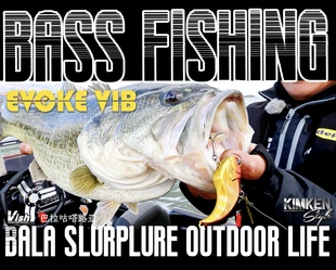 巴拉咕嗒路亚 VIBRATION木村建太鲈钓路亚缠摆硬饵 VIB EVOKE