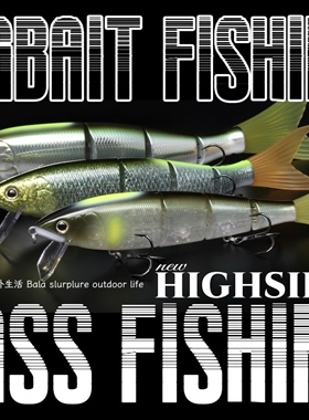 depa new HIGHSIDER 鲈鱼多节鱼路亚大饵【巴拉咕嗒户外】