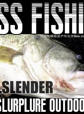 【巴拉咕嗒路亚】deps BULLSLENDER鲈钓路亚草区障碍软饵