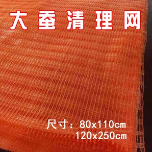 清理--清洁蚕宝宝养蚕龄3网蚕用-专用网2工具提青网514-龄大蚕网