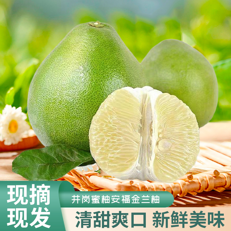 25江西吉安福蚕子新鲜水果白心金兰柚井冈山甜蜜药柚子老树原产地