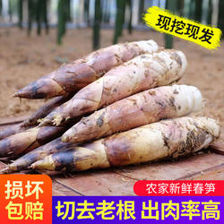 浙江德清莫干山早园时令农家新鲜临安雷竹笋现挖蒲笋春笋油焖笋子