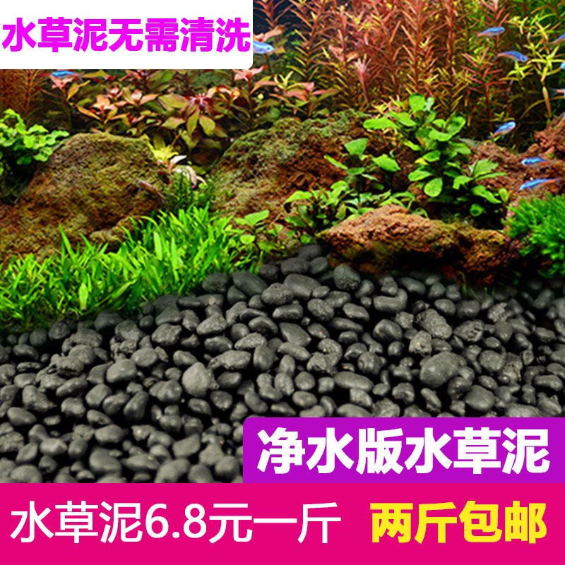 鱼缸水草肥料多少钱 鱼缸水草肥料优惠券免费领取 有条鱼