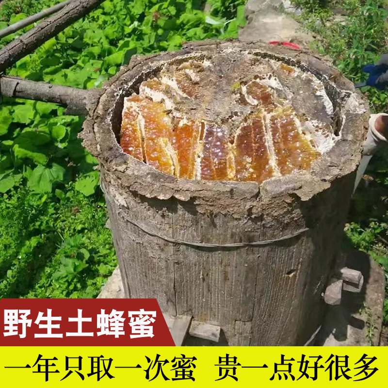 野生蜂蜜神农架纯正天然正宗农家土蜂蜜深山无添加农家自产木桶蜜