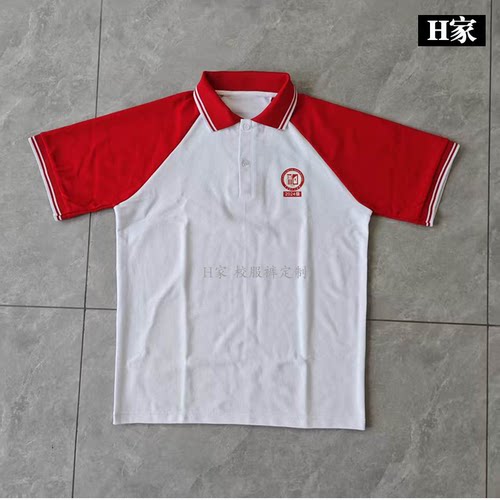 订做重庆人和中学校服上衣学生短袖T恤衫翻领班服半袖POLO领园服